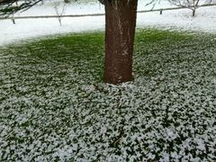 -比尔斯健康烤肉自助餐厅