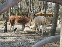 -昆山城市生态森林公园