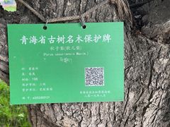 -梨苑林卡金陵山水酒店