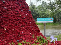 -深圳野生动物园