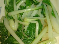 -罗浮山·罗园农庄