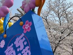 -高东镇樱花园