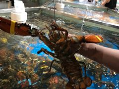 -盒马鲜生(杭州运河上街店)