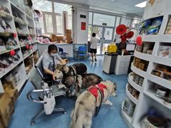 -北京赛佳动物医院