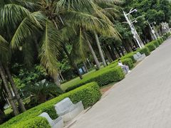 -深圳湾公园(南山区)