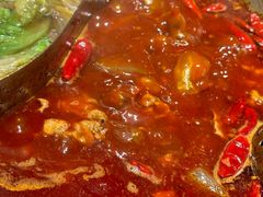 -廖掌柜·重庆鲜货火锅(上海首店)