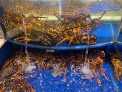 -海景壹号大酒店(滨湖店)