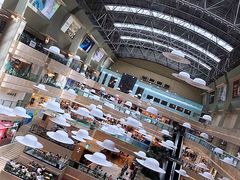 -1981牛排西餐厅(海信店)