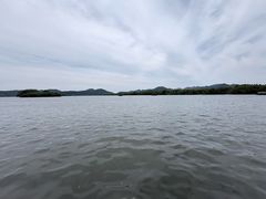 -西湖游船