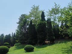 -棒棰岛宾馆景区