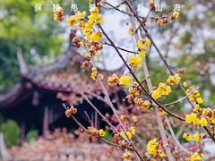 -成都杜甫草堂博物馆