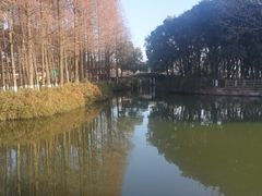 -寻味乌镇·龙虾烧烤