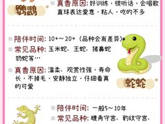 -立德动物医院·异宠·CT·鹦鹉(天河店)
