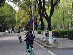 -合肥野生动物园