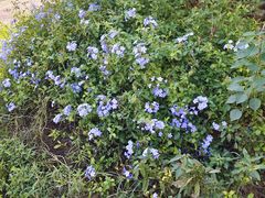 -长沙市青少年宫