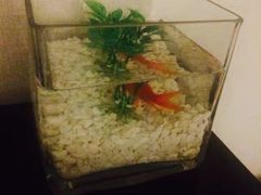 -桔子酒店(上海西藏北路地铁站店)