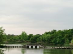 -西溪国家湿地公园