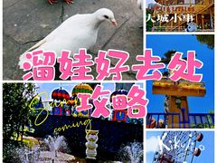 -南湖梦幻岛