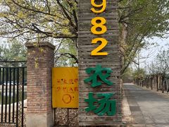 -1982农场