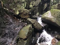 -藏龙百瀑风景区