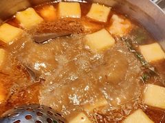 -蝎王府羊蝎子(西直门店)