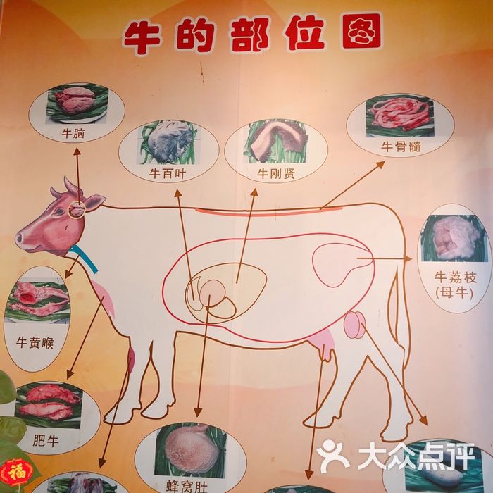 牛牛鲜牛杂火锅城牛部位图图片