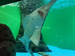 -上海海洋水族馆