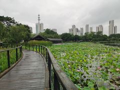 -映月湖公园