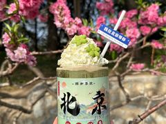 -颐和园