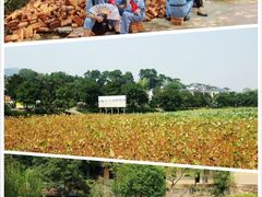 -韶山毛泽东同志故居