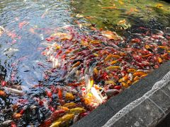 -番禺宾馆丽苑厅