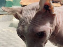 -荆州中山公园动物园