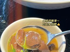 -三强鸽子(中原路店)