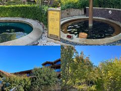 -大连金石滩绿发温泉假日酒店