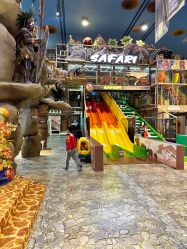 -卡通尼·Safari非洲探索乐园·生日会(金桥国际商业广场店)