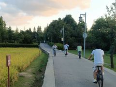 -贵阳市花溪国家城市湿地公园