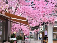 -首开·龙湖成都西宸天街