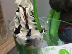 -Salud撒露欧洲冻酸奶(蓝色港湾店)