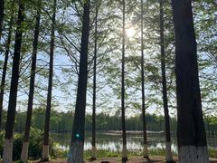 -白鹭湾湿地公园