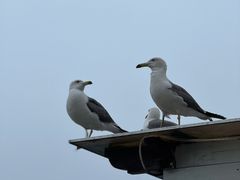 -大连圣亚海洋世界