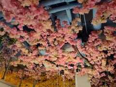 -食悦江南·淮扬菜·烤鸭(亚运村·惠新店)