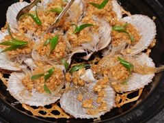-海派美食·家宴海鲜青岛菜·石锅鲽鱼头(东方城店)