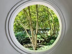 -上海醉白池公园