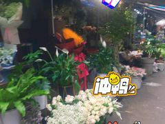 -循礼门鲜花花市(武汉循礼门店)