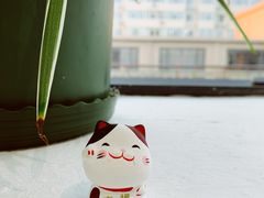 -古耳咖啡(北锣店)