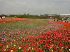 -廊坊文化艺术中心