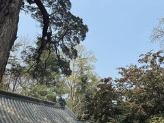 -青岛崂山太清宫