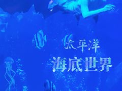 -太平洋海底世界