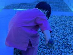 -青水瓦台汤泉(未央店)