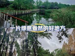 -同里国家湿地公园
